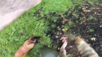 - Tel Abyad’da PKK/YPG’ye ait bir tünel daha tespit edildi- Bugüne kadar bin 373 tünel kullanılamaz hale getirildi