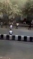 Delhi violence: Residents form human chain for safety of schoolkids