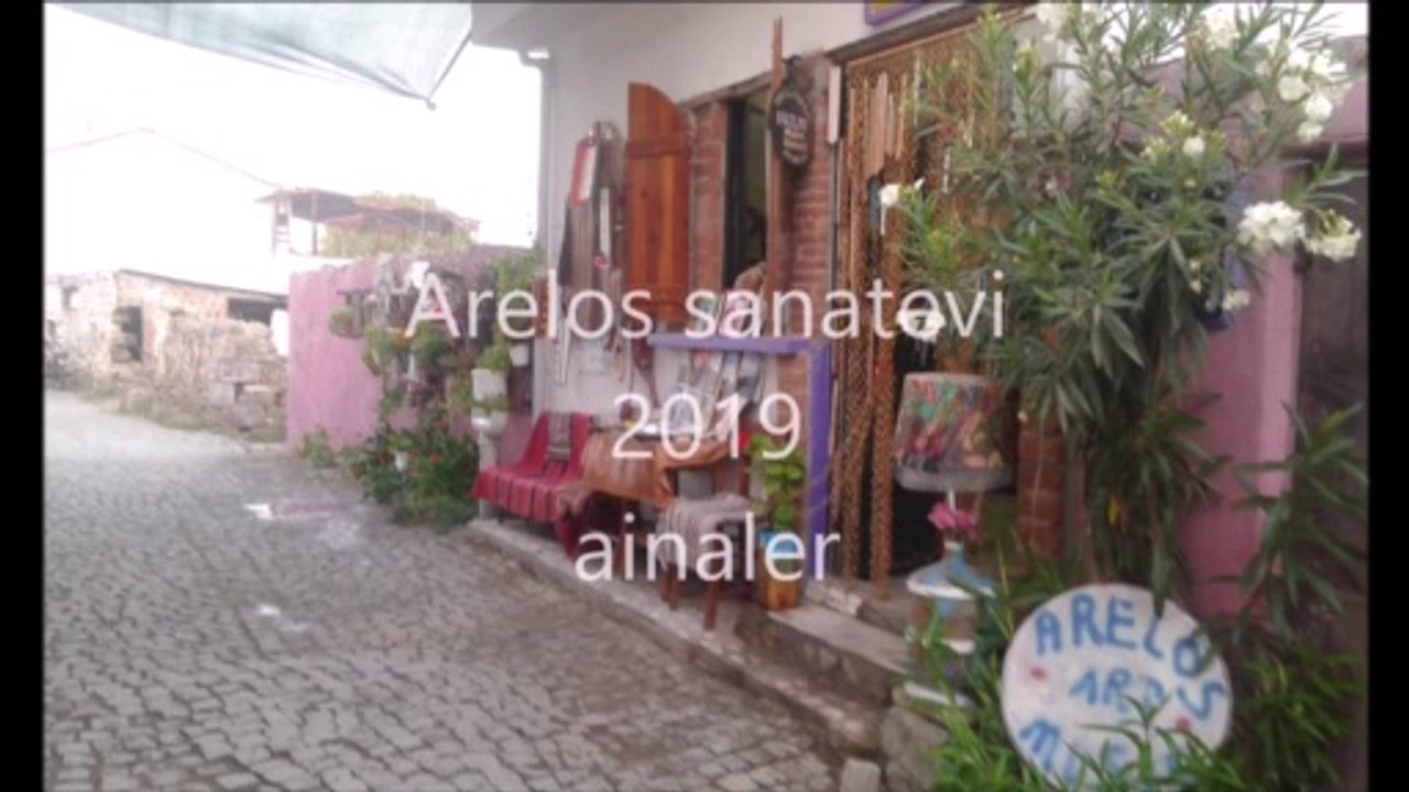 arelos sanatevi  tanıtım  20192.2 - ainaler