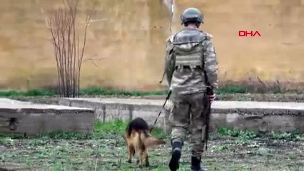 Tel abyad'da arama-tarama faaliyetleri devam ediyor