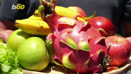 How to Create a More Inclusive Environment for Vegan Employees