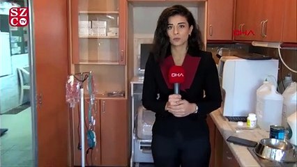 Fındık'ın sağlık durumu iyiye gidiyor