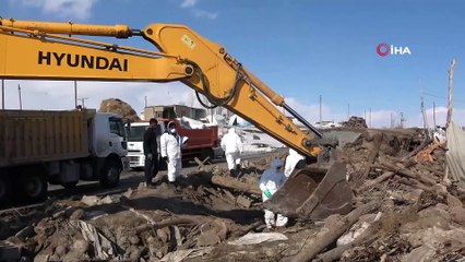 Depremde telef olan hayvanlar enkaz altından çıkarıldı