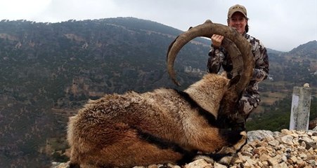 Amerikalı kadın avcı, Adıyaman'da boynuz uzunluğu 130 santimetreyi bulan dağ keçisini avladı