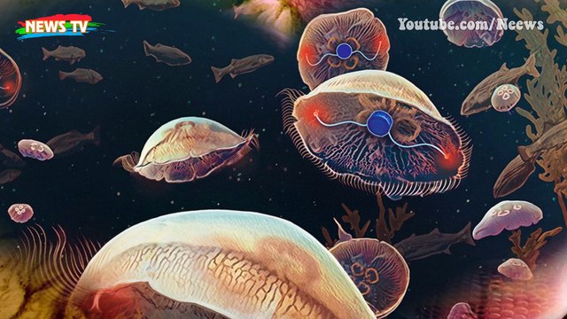 Bí mật loài rắn có chân: Hậu duệ chung tổ tiên với 'quái thú bá chủ đại dương' Thương long?