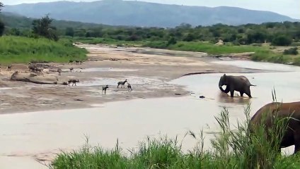 일산출장서비스 일산출장서비스O1OE6579E3382｛카톡RMB7｝ 일산출장마사지샵 일산출장안마on일산출장안마cos여3♪⇔∃마사지황형♥≩≪