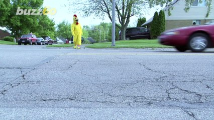 Two Turkeys Try to Knock the Stuffing out of One Another During Road Rage Brawl