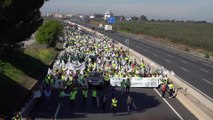 Agricultores se manifiestan 