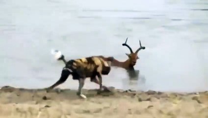 남해출장서비스 남해출장서비스O1OE6579E3382｛카톡RMB7｝ 남해출장마사지샵 남해출장안마on남해출장안마cos여3♪⇔∃마사지황형♥∴≪