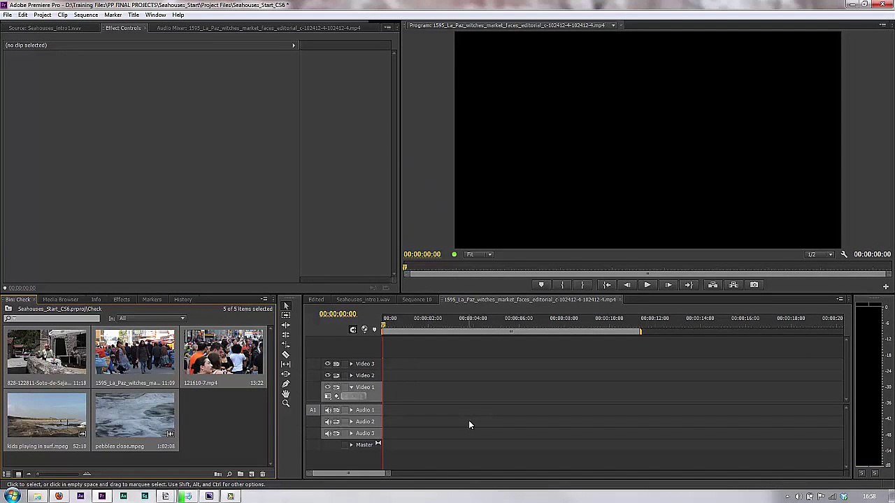 Premiere Pro CS6 103 Find Faces
