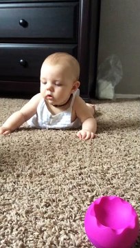 Boxer Teaches 6 month Old Baby How To Crawl