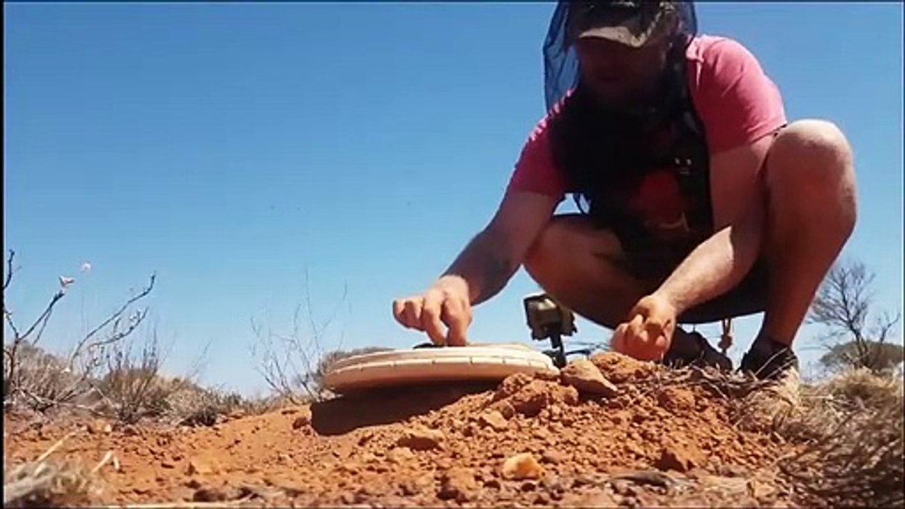 Successfully Hunting for Gold
