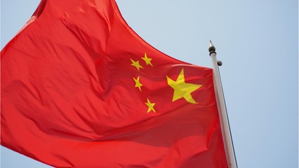 China Bans Trade, Consumption Of Wild Animals