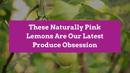 These Naturally Pink Lemons Are Our Latest Produce Obsession
