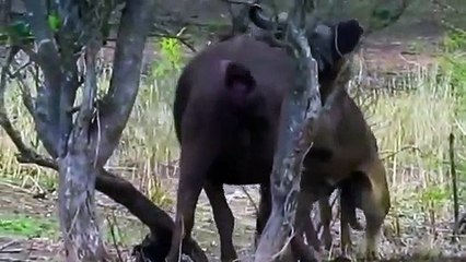 남해출장서비스 남해출장서비스O1Og2118g2518｛카톡KFC49｝ 남해출장마사지샵 남해출장안마on남해출장안마cos여3♪⇔∃마사지황형♥◎≪