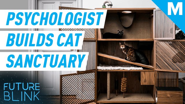 Sweden’s first cat psychologist created this cute cat sanctuary — Future Blink
