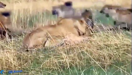 남양주출장서비스 남양주출장서비스O1Og4832g2166｛카톡MGM85｝ 남양주출장마사지샵 남양주출장안마on남양주출장안마cos여3♪⇔∃마사지황형♥⊒≪