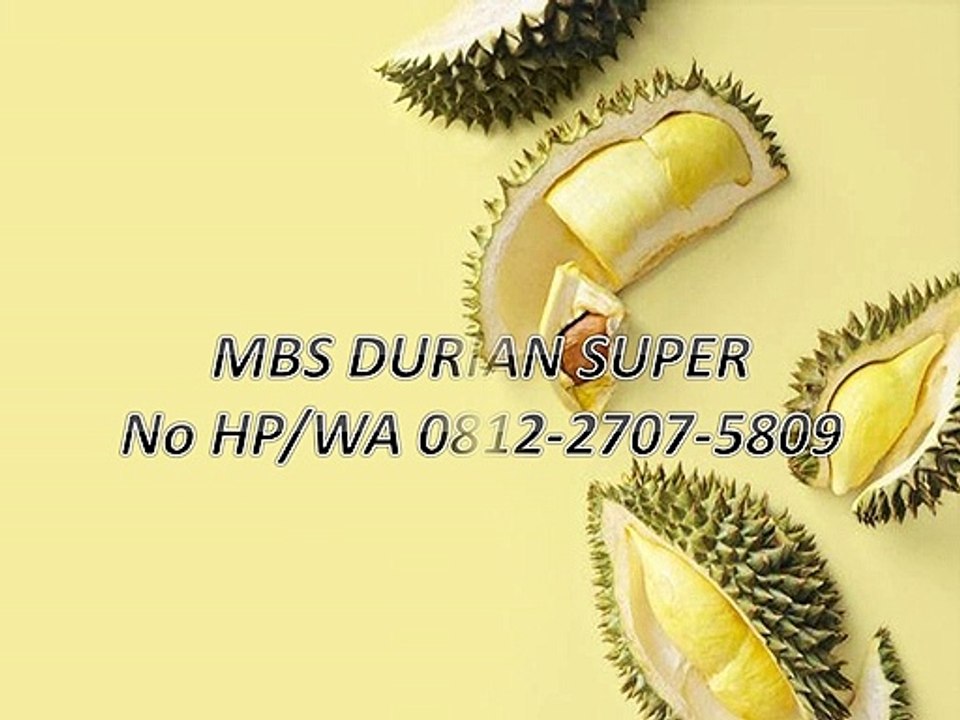GROSIR, WA 0812-2707-5809, Bibit Durian Di Bogor Sulawesi Selatan