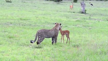 영동추천업소【OI0↔29O8↔68O③】영동추천업소예약♥≁≪