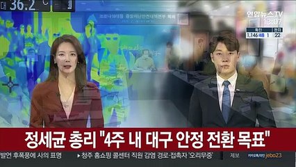 정세균 총리 "4주 내 대구 안정 전환 목표"