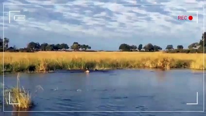 칠곡출장서비스 칠곡출장서비스O1OE2541E2560｛카톡YTN9｝ 칠곡출장마사지샵 칠곡출장안마on칠곡출장안마cos여3♪⇔∃마사지황형♥∸≪