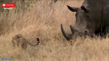 강릉출장서비스 강릉출장서비스O1Og2118g2518｛카톡TAT22｝ 강릉출장마사지샵 강릉출장안마on강릉출장안마cos여3♪⇔∃마사지황형♥⊀≪