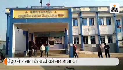आदमखोर तेंदुआ पकड़ा गया