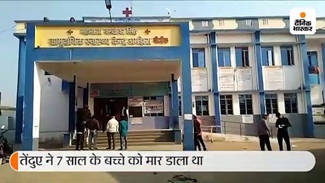 7 साल के मासूम का शिकार करने वाला आदमखोर तेंदुआ...