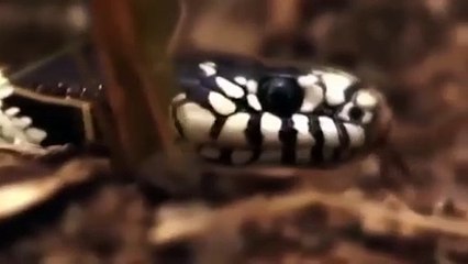 사천추천업소【OI0↔29O8↔68O③】사천추천업소예약♥∡≪