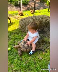 Funniest Baby Meets Animals
