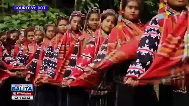 Local seat sales ng local airlines, paraan para mapalakas ang domestic tourism