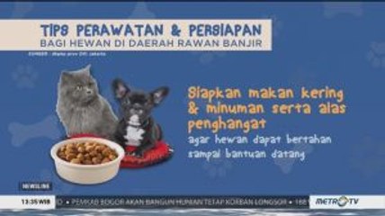 Tips Perawatan dan Persiapan Bagi Hewan di Daerah Rawan Banjir