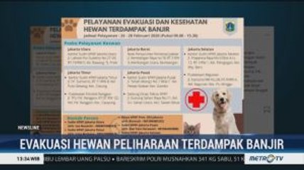 Pemprov DKI Sediakan Layanan Evakuasi Hewan Peliharaan Terdampak Banjir