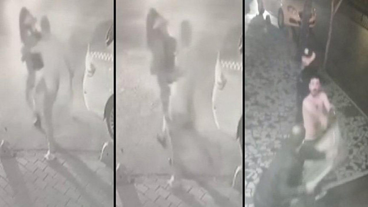 Fatih'te kadına saldıran kişiye meydan dayağı