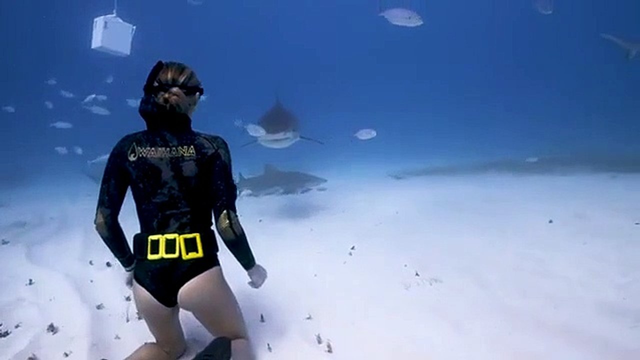 La vidéo de cette femme qui apprivoise un requin est vraiment hypnotisante.. Mais beaucoup ne verront pas le requin
