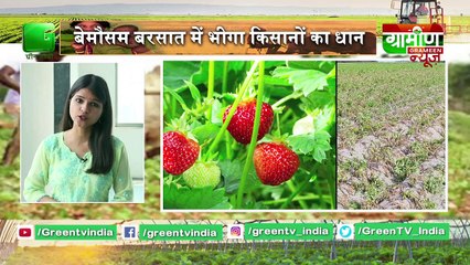 Krishi Vigyan Mela 2020 :  Farmers will be able to get free water and soil testing | Kisan Bulletin : Grameen News