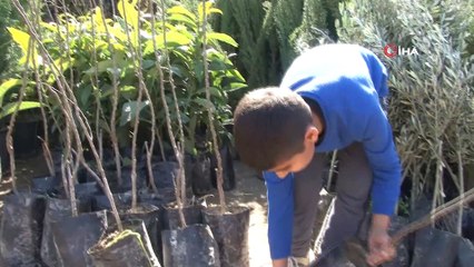 Şanlıurfa’da zeytin ve fıstık fidanı ekimine başlandı