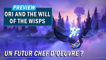 ORI AND THE WILL OF THE WISPS : Un futur chef d'oeuvre ? | PREVIEW