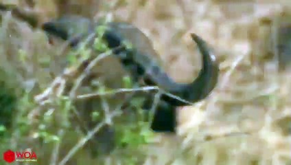 해운대추천업소【OI0↔29O8↔68O③】해운대추천업소예약♥◎≪