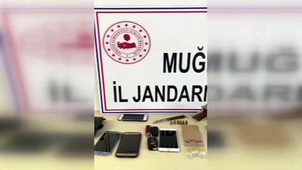 Muğla'da Jandarma ekipleri 71 tüp kobra zehri ele geçirdi