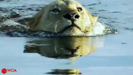 연제출장서비스 연제출장서비스O1Og4832g2166｛카톡QQ565｝ 연제출장마사지샵 연제출장안마on연제출장안마cos여3♪⇔∃마사지황형♥∧≪