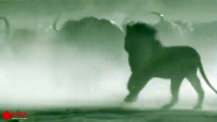 평택출장서비스 평택출장서비스O1Og2154g6609｛카톡VPN58｝ 평택출장마사지샵 평택출장안마on평택출장안마cos여3♪⇔∃마사지황형♥∍≪