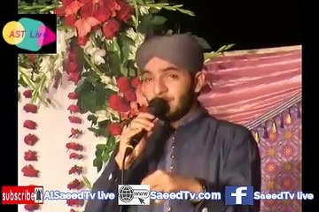 WALLAIL DI ZULFAN AE SOHNIYA AKHIYAN | BEST NAAT URDU