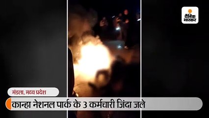 कान्हा नेशनल पार्क के 3 कर्मचारी जिंदा जले