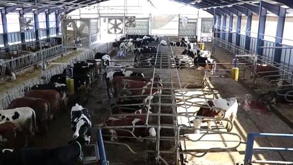 Öğretim üyeleri "Çiftlik İzleme Yönetim Sistemi" yazılımı geliştirdi