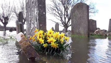 Graveyard under water as River Severn bursts banks in rural Worcestershire