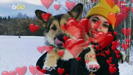Watch This Adorable Corgi Perform the World’s Tiniest Pounce