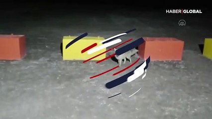 Tilki ile işçi bir ekmeği paylaştı