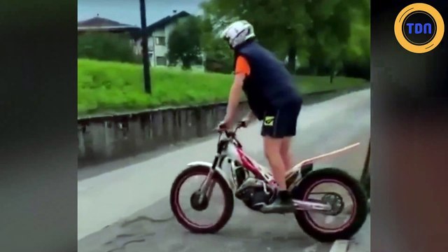 Le ZAP de la semaine #207 : des fails, des animaux et le nouveau Michael Jackson