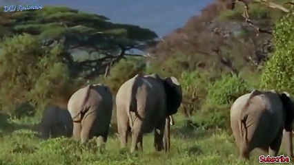 영천출장서비스 영천출장서비스O1Og2118g2518｛카톡TAT22｝ 영천출장마사지샵 영천출장안마on영천출장안마cos여3♪⇔∃마사지황형♥≟≪